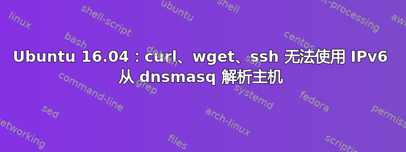 Ubuntu 16.04：curl、wget、ssh 无法使用 IPv6 从 dnsmasq 解析主机