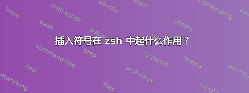 插入符号在 zsh 中起什么作用？