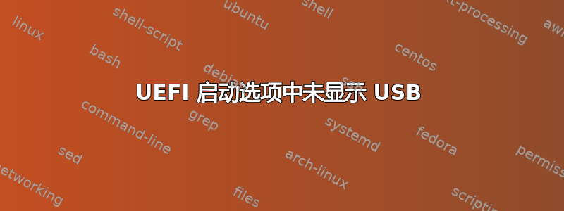 UEFI 启动选项中未显示 USB