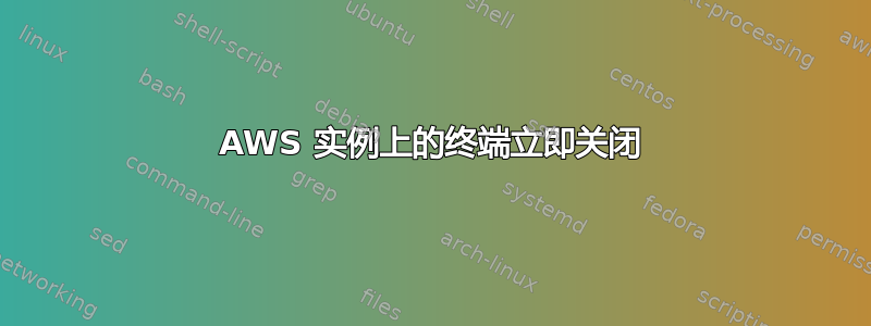 AWS 实例上的终端立即关闭