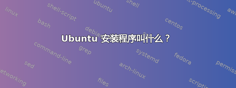 Ubuntu 安装程序叫什么？