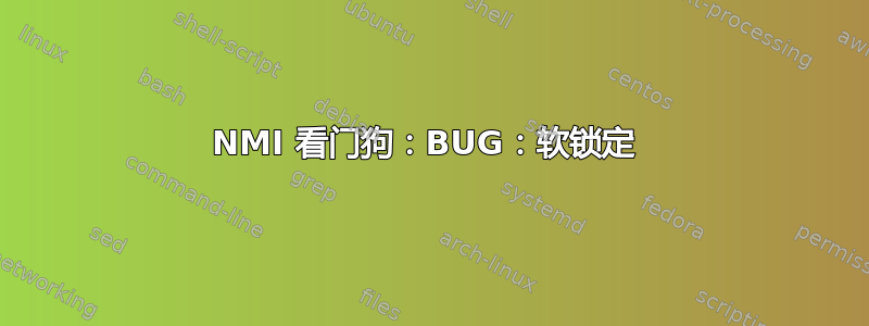 NMI 看门狗：BUG：软锁定 