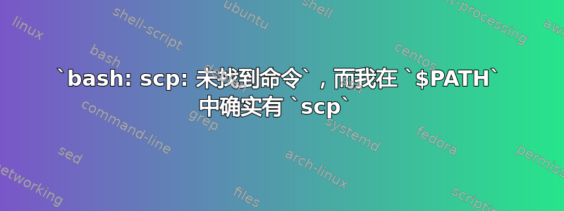 `bash: scp: 未找到命令`，而我在 `$PATH` 中确实有 `scp` 