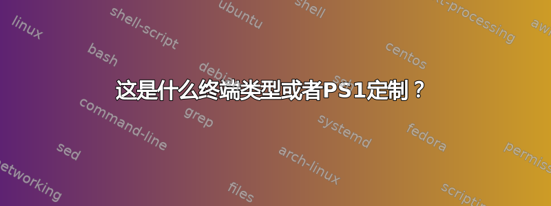 这是什么终端类型或者PS1定制？