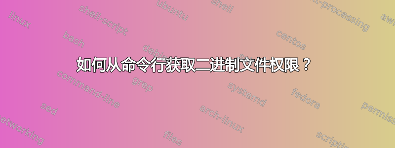 如何从命令行获取二进制文件权限？