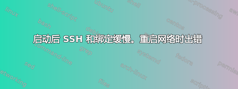 启动后 SSH 和绑定缓慢。重启网络时出错