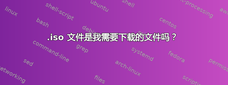 .iso 文件是我需要下载的文件吗？