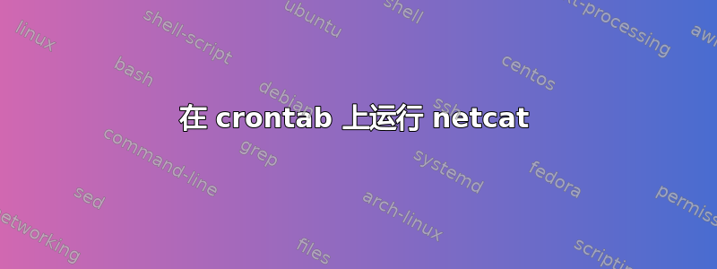 在 crontab 上运行 netcat