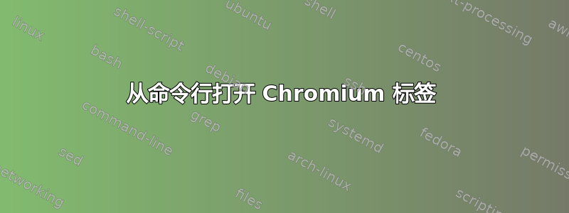 从命令行打开 Chromium 标签