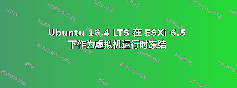 Ubuntu 16.4 LTS 在 ESXi 6.5 下作为虚拟机运行时冻结