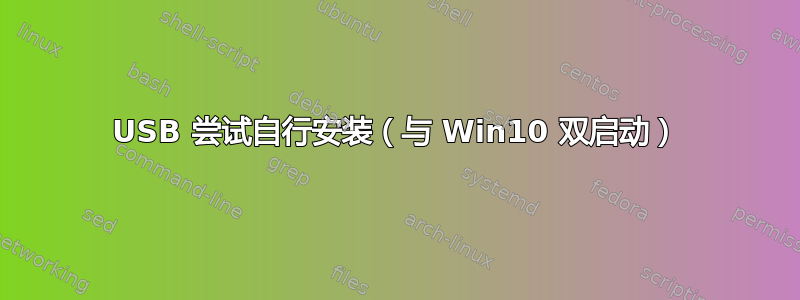 USB 尝试自行安装（与 Win10 双启动）