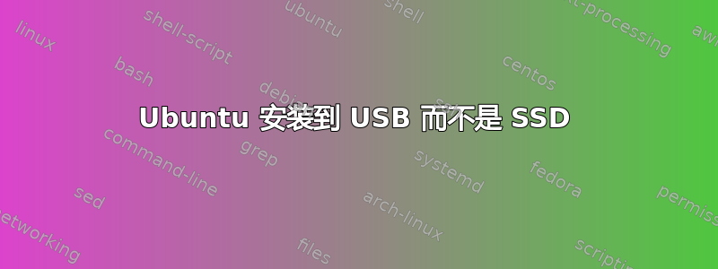 Ubuntu 安装到 USB 而不是 SSD