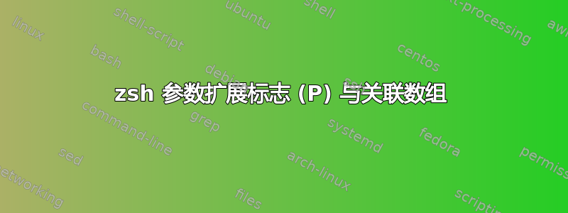 zsh 参数扩展标志 (P) 与关联数组