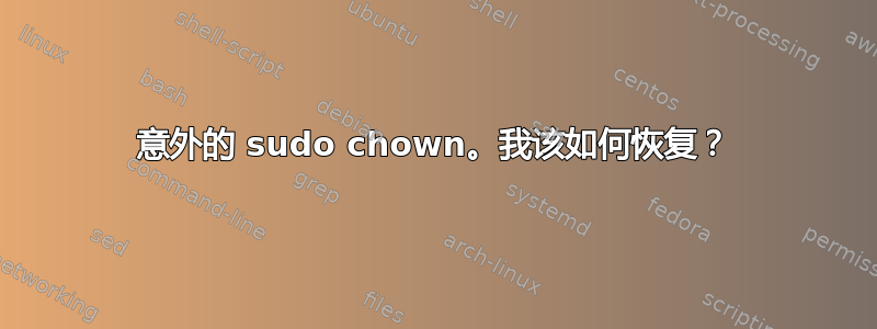 意外的 sudo chown。我该如何恢复？