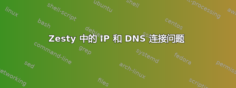 Zesty 中的 IP 和 DNS 连接问题