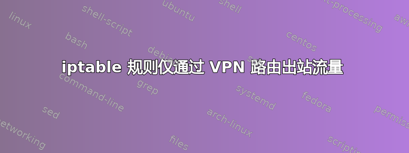 iptable 规则仅通过 VPN 路由出站流量