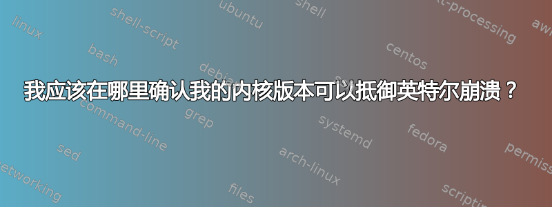 我应该在哪里确认我的内核版本可以抵御英特尔崩溃？