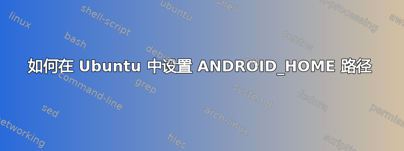 如何在 Ubuntu 中设置 ANDROID_HOME 路径