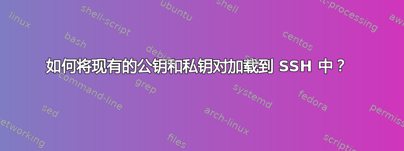 如何将现有的公钥和私钥对加载到 SSH 中？ 