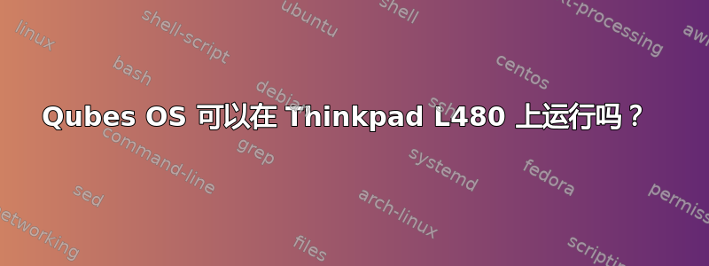 Qubes OS 可以在 Thinkpad L480 上运行吗？ 