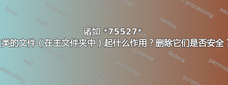 诸如 *75527* 之类的文件（在主文件夹中）起什么作用？删除它们是否安全？