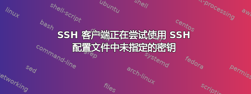 SSH 客户端正在尝试使用 SSH 配置文件中未指定的密钥