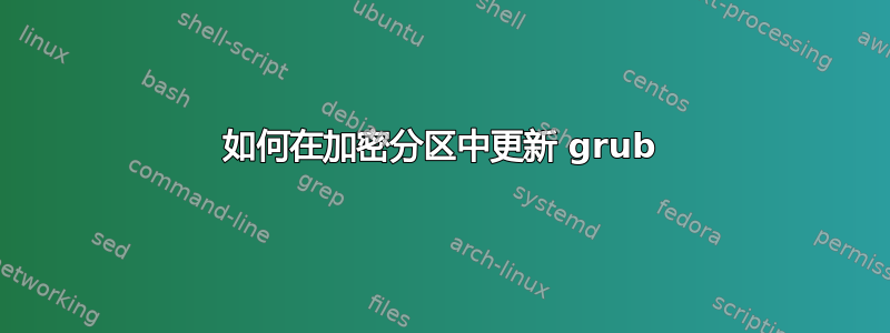 如何在加密分区中更新 grub