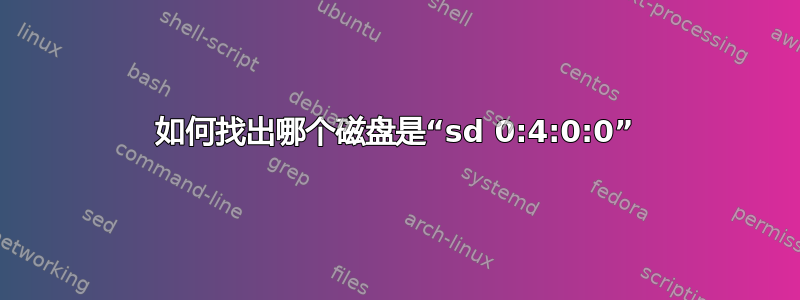 如何找出哪个磁盘是“sd 0:4:0:0”