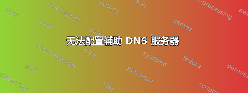 无法配置辅助 DNS 服务器