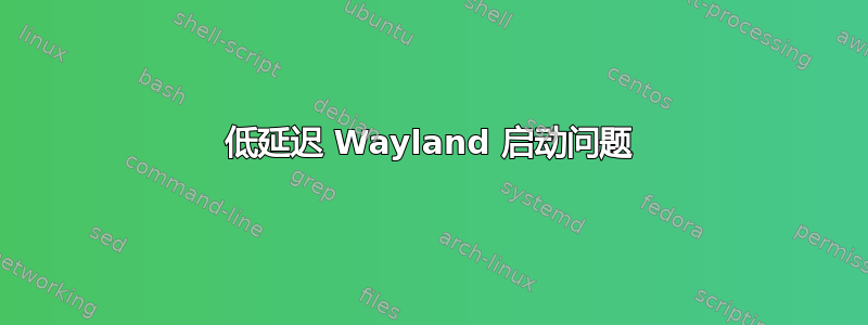 低延迟 Wayland 启动问题