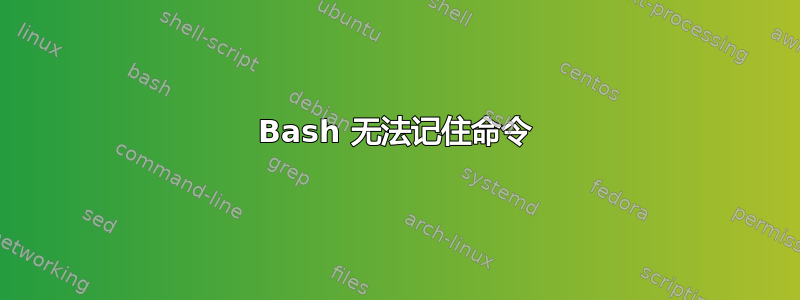 Bash 无法记住命令