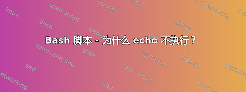 Bash 脚本 - 为什么 echo 不执行？