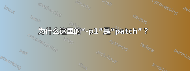 为什么这里的“-p1”是“patch”？