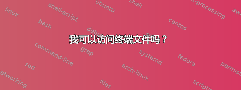 我可以访问终端文件吗？