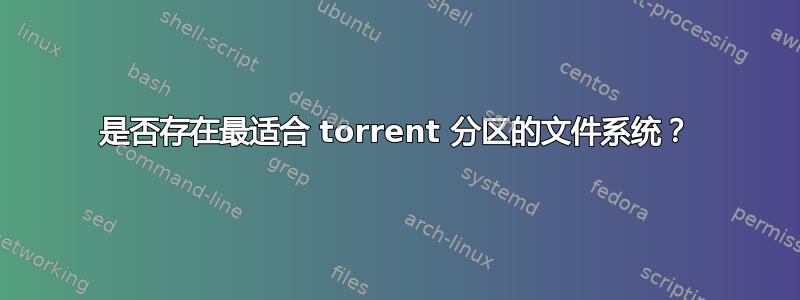 是否存在最适合 torrent 分区的文件系统？