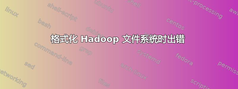 格式化 Hadoop 文件系统时出错