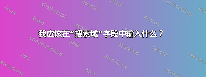 我应该在“搜索域”字段中输入什么？