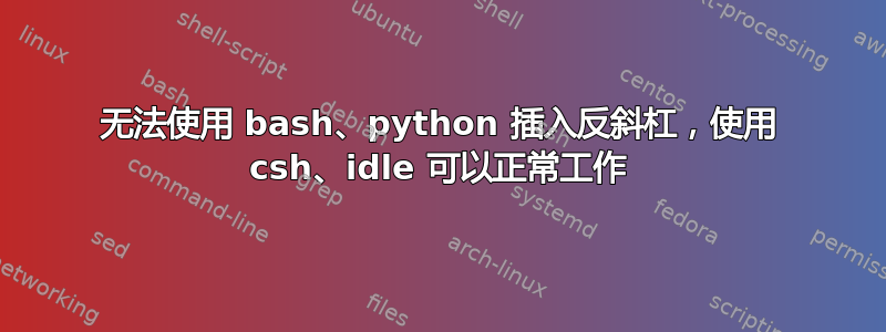 无法使用 bash、python 插入反斜杠，使用 csh、idle 可以正常工作