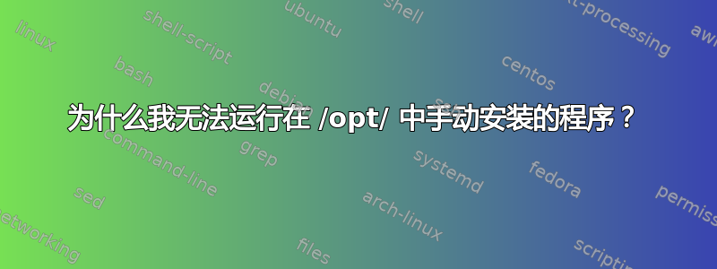 为什么我无法运行在 /opt/ 中手动安装的程序？