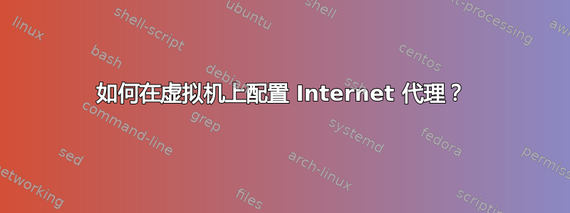 如何在虚拟机上配置 Internet 代理？