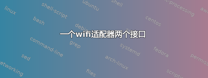 一个wifi适配器两个接口