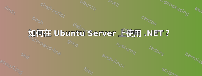 如何在 Ubuntu Server 上使用 .NET？