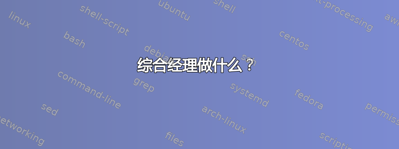 综合经理做什么？