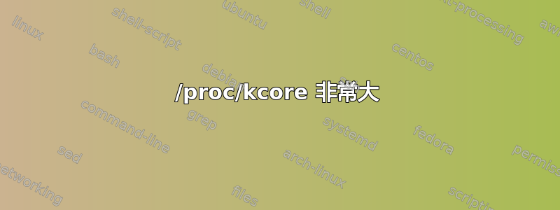 /proc/kcore 非常大