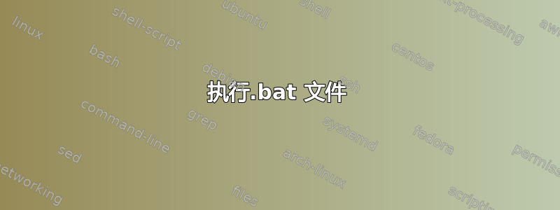 执行.bat 文件