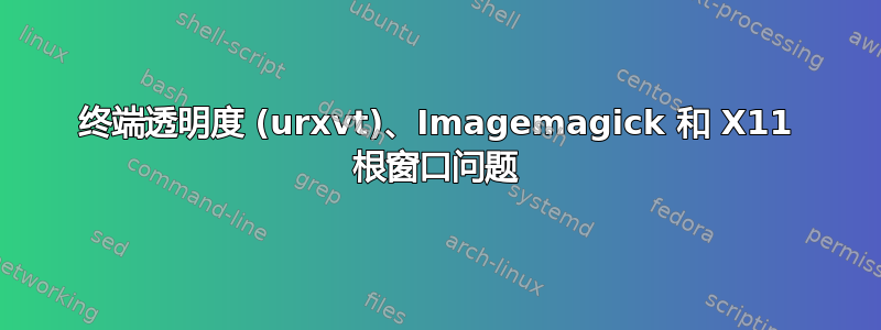 终端透明度 (urxvt)、Imagemagick 和 X11 根窗口问题