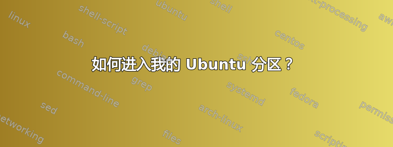 如何进入我的 Ubuntu 分区？