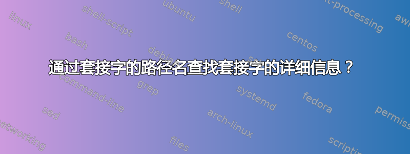 通过套接字的路径名查找套接字的详细信息？