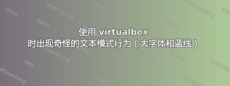 使用 virtualbox 时出现奇怪的文本模式行为（大字体和蓝线）