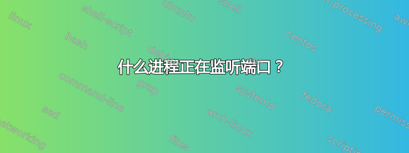 什么进程正在监听端口？